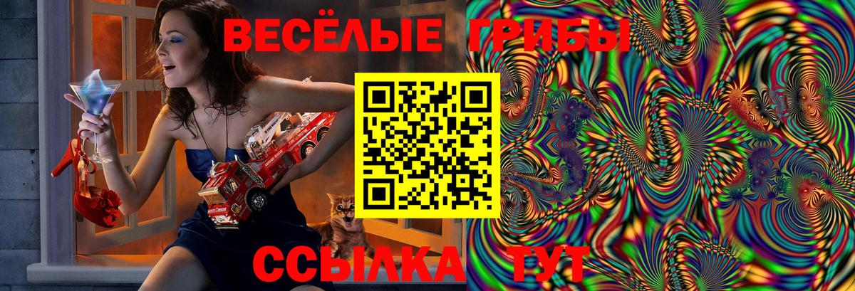 Псилоцибиновые грибы прущие грибы Кудымкар